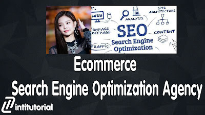 Ecommerce Search Engine Optimization Agency