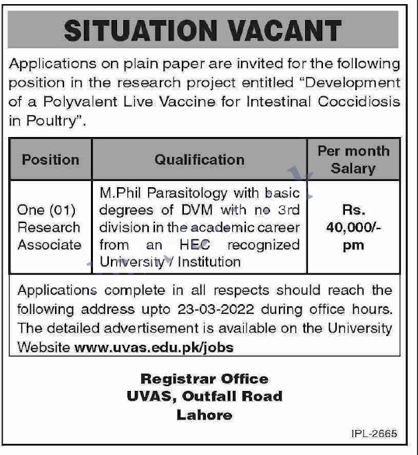 University of Veterinary and Animal Sciences UVAS Lahore Jobs 2022University of Veterinary and Animal Sciences UVAS Lahore Jobs 2022