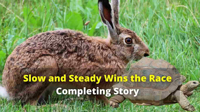 slow-and-steady-wins-race-story