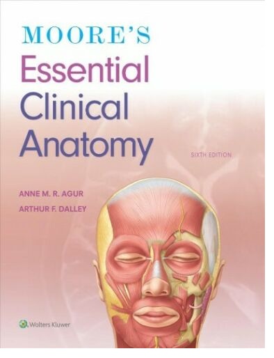 Moore's essential clinical anatomy 2019  (pdf , Ebook Download)