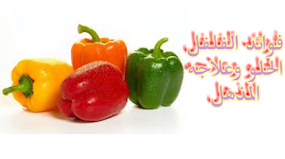 فوائد الفلفل الحلو و العلاجه المذهل