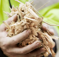 Pengertian Biomassa