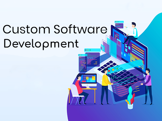 Custom Software Development Company in India