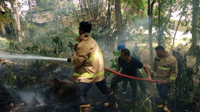 BPBD Aceh Besar Bergerak Cepat, Padamkan Kebakaran Lahan Pinus di Saree