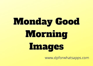 1000 + Stylish Good Morning Monday Images | Monday good morning  for whatsapp 2021 |