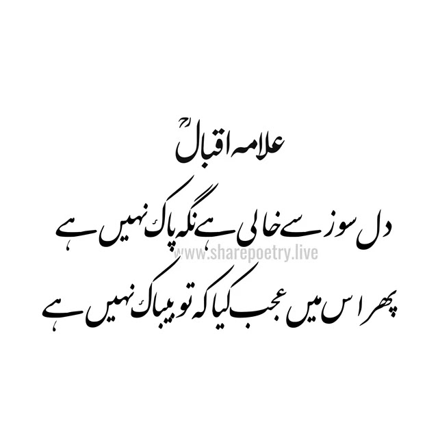 top allama iqbal poetry in urdu