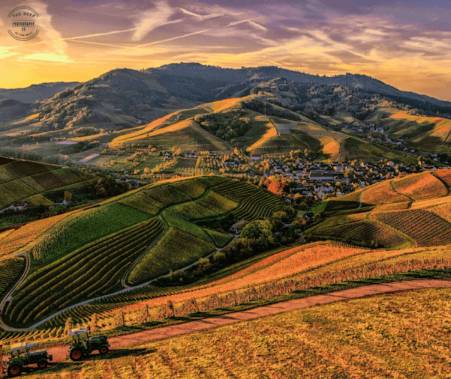 photograph a landscape