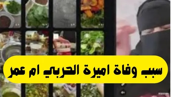 سبب وفاة اميرة الحربي ام عمر مشهورة السناب شات