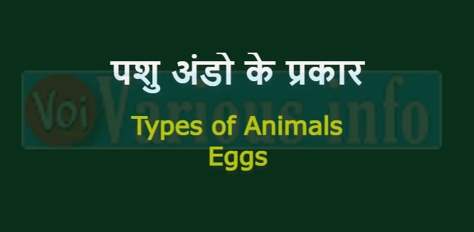 पशु अंडो के प्रकार - Types of Animals Eggs