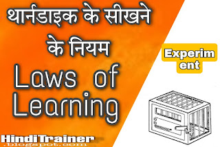 थार्नडाइक के सीखने के नियम/Laws of Learning