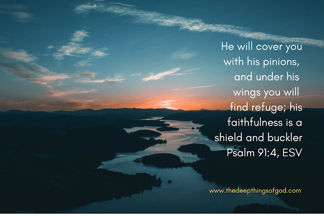 God Will Cover You And Shield You Meaning (Psalm 91:4)