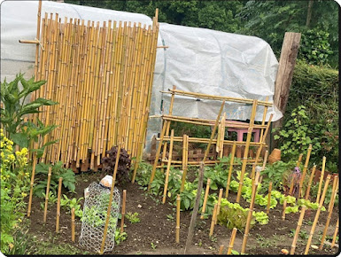 Mon potager
