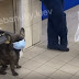 В Київському супермаркеті помітили собаку у масці - сайт Солом'янського району