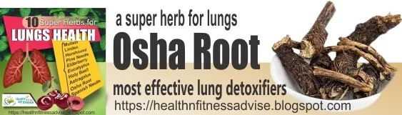 Osha-Root-for-lungs-healthnfitnessadvise-blogspot-com