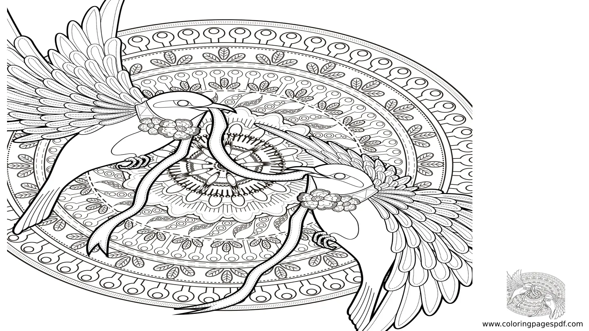 Coloring Pages Of Two Birds Holding A Ruban Mandala