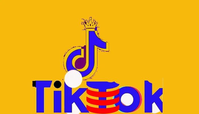 كيفية الربح من التيك توك  profit  tik tok