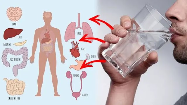 Check Out The Medical Conditions That Can Be Managed By Drinking Hot Water Often - Gloracegistmedia