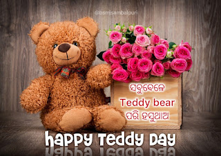 odia teddy day shayari