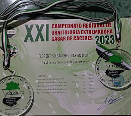 XXI Regional Extremeño FOEX 2023