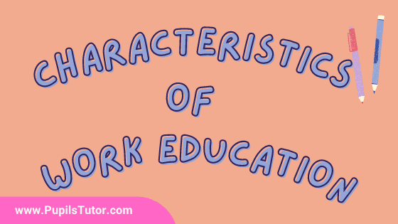 6 Characteristics Of Work Education | What Are The Main Characteristics Of Work Education? | List And Explain Features Of Work Education In Points - pupilstutor