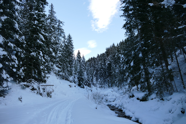 valle san silvestro dobbiaco ciaspole inverno