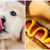 Είναι ασφαλή τα hot dogs για τον σκύλο;
