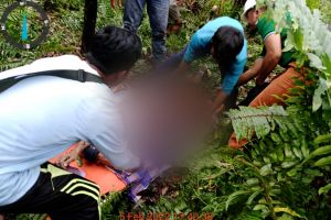 Warga Bengkalis Tewas Mengenaskan Diserang Harimau di Inhil, Kepala & Badan Terpisah