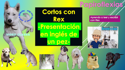 Cortos con Rex