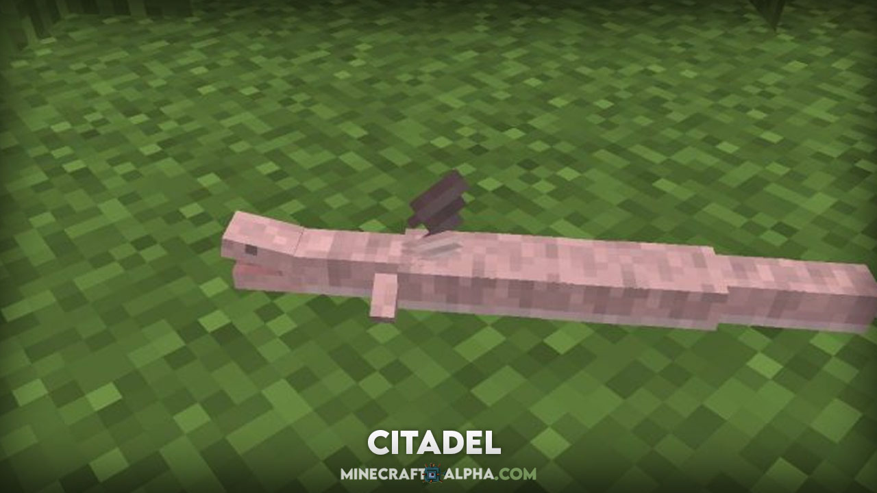 Citadel Mod 1.18, 1.17.1, 1.16.5 (Dragons, Animals, Items) Citadel Mod 1.18, 1.17.1, 1.16.5 (Dragons, Animals, Items)