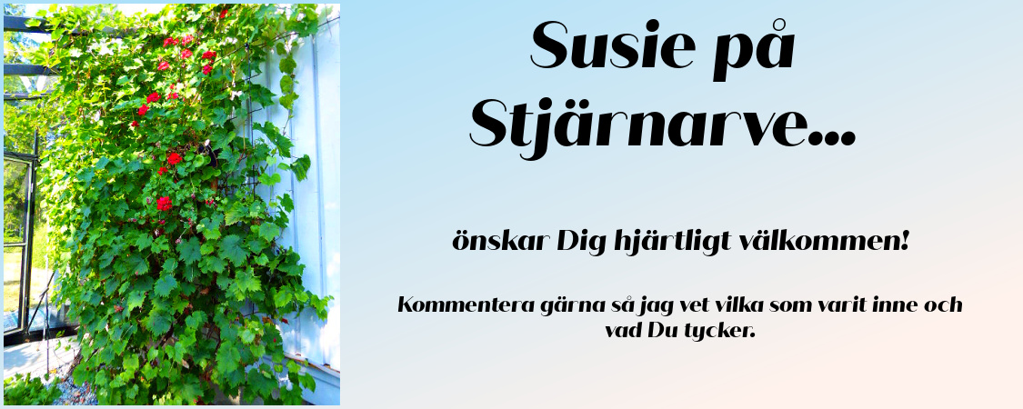 SUSIE PÅ STJÄRNARVE...