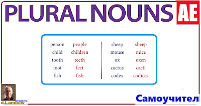 Plural Nouns