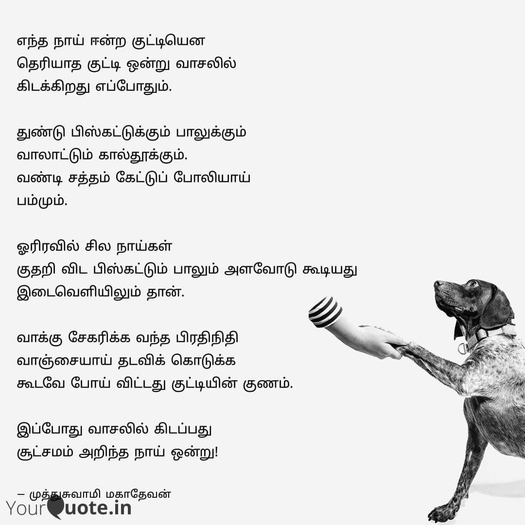 படம்