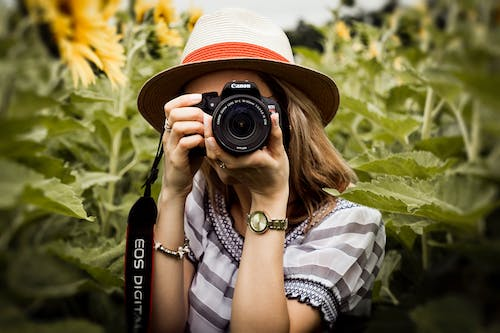 Stock Photography -