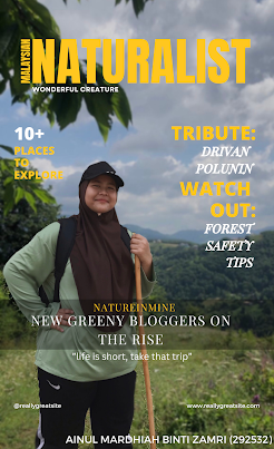 My magazine cover