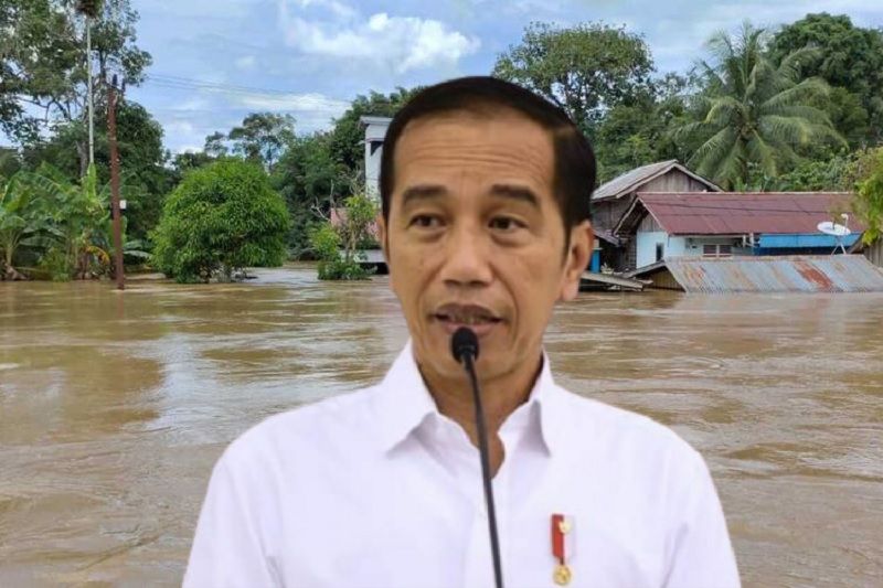 Sebut Banjir Sintang Akibat Tambang & Perkebunan, Pengamat: Jokowi Hanya Retorika!