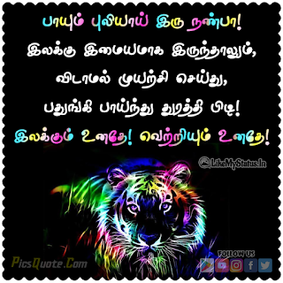 Positive Lines Tamil