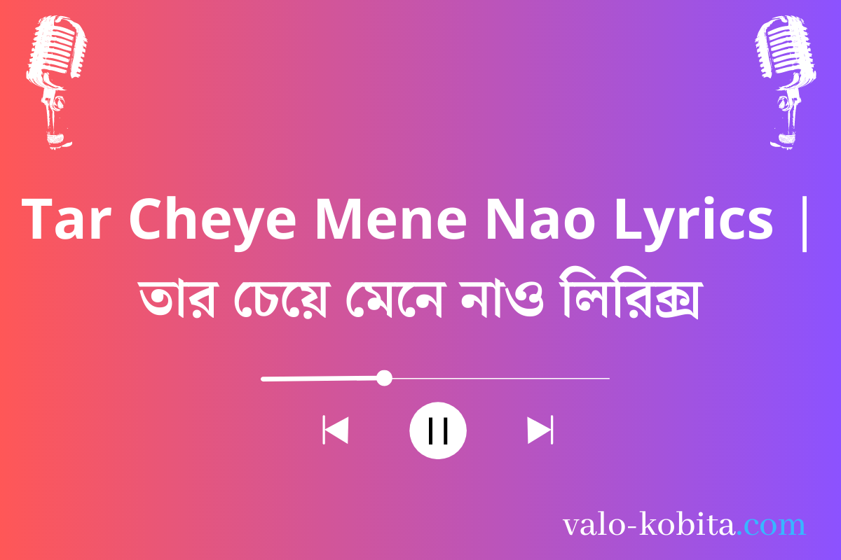 Tar Cheye Mene Nao Lyrics | তার চেয়ে মেনে নাও লিরিক্স