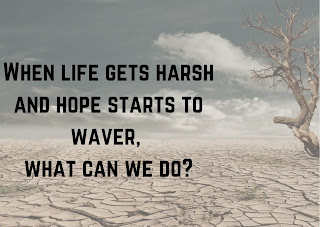 When life gets harsh and hope starts to waver, what can we do?