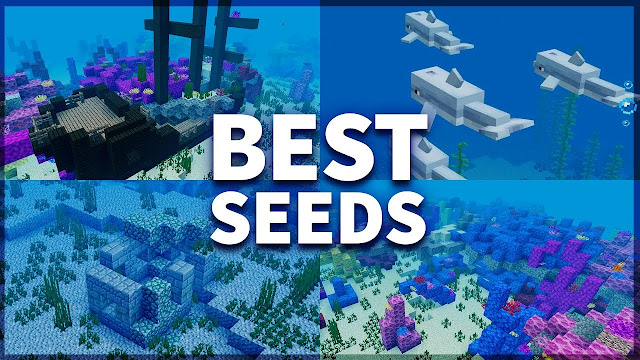 Minecraft 1.19: Beste Korallenriff-Samen