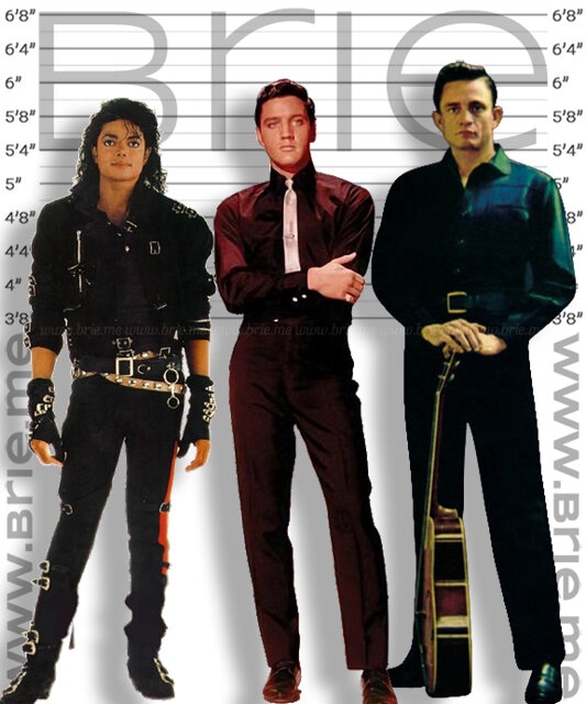 Johnny Cash height comparison with Michael Jackson and Elvis Presley