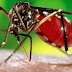 मच्छर मारने वाले प्रोडक्ट्स का इस्तेमाल हो सकता है हानिकारक