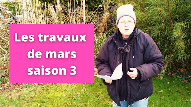 Les travaux de mars au jardin urbain en permaculture (vidéo)