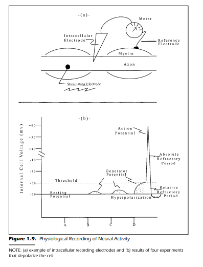 Physiological Recording of Neural Activity