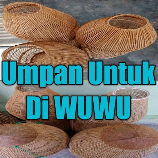 Pasang Wuwu Dapat Ikan Banyak - Perangkap ikan ini sebenarnya sudah ada sejak jaman dahulu, orang tua di beberapa daerah pastinya sudah membuat perangkap ikan