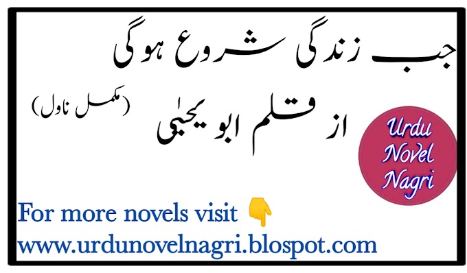 Jab Zindagi shuru hogi Novel by Abu yahya complete PDF