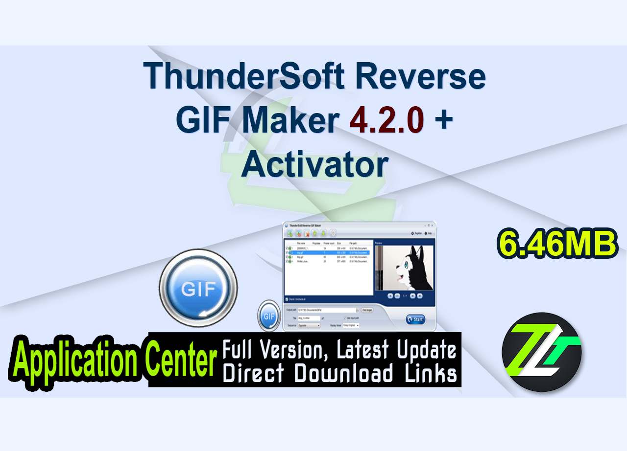 ThunderSoft Reverse GIF Maker 4.2.0 + Activator