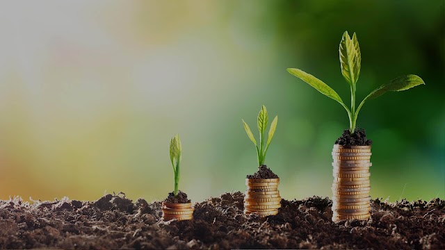 2) Growing Your Business