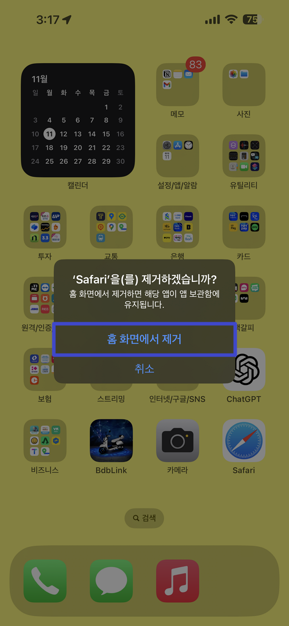 아이폰 복사된 앱을 삭제할 땐 홈 화면에서 제거 선택하기