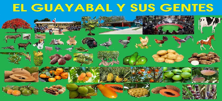 El Guayabal Y Sus Gentes