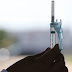 Brasil recebe primeiro lote de vacinas imunizar para crianças